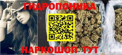 шишки Краснодар