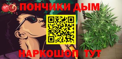 шишки Краснодар