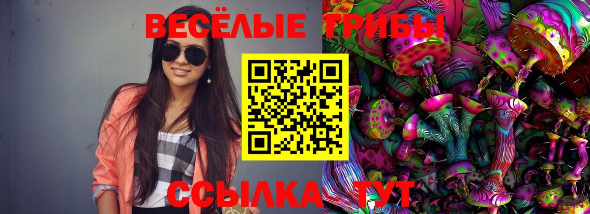 Галлюциногенные грибы Magic Shrooms Дмитров
