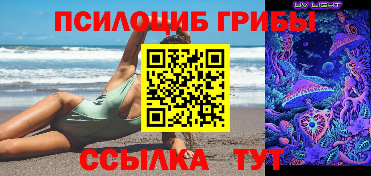 Псилоцибиновые грибы Psilocybe  Вход с VPN  купить   Дмитров 